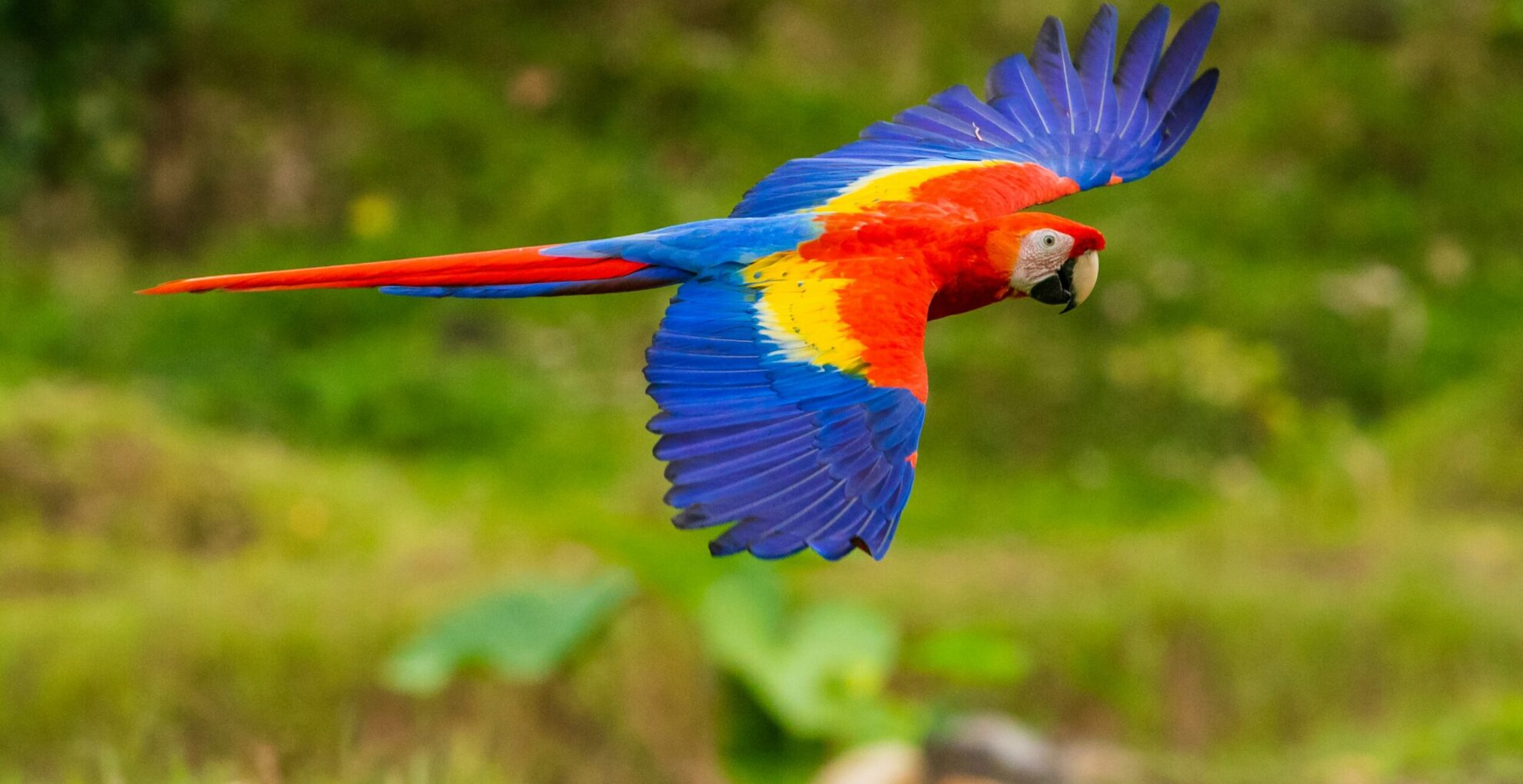 zdenek-machacek-P4n7NQNOmFU-unsplash