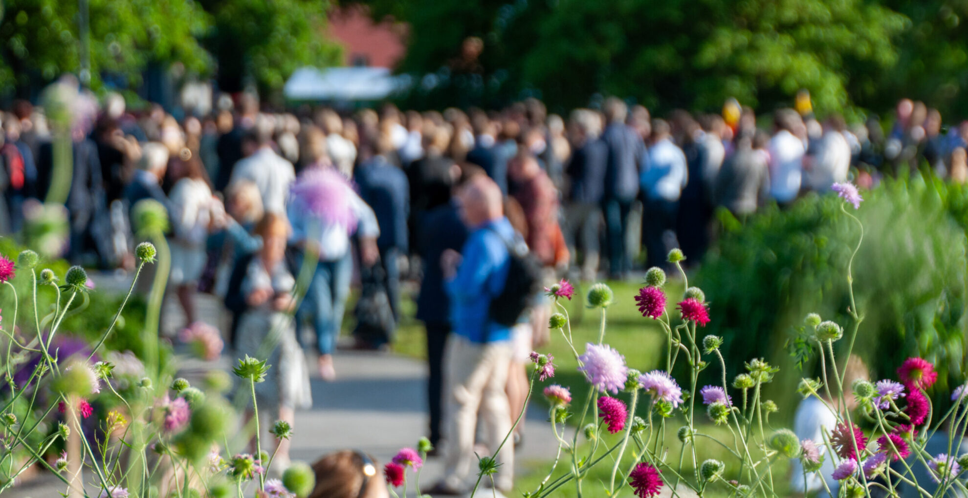 Bild: Region Gotland